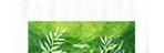 Logo Limpeza Verde no rodapé